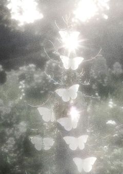 　恋心に気づく時