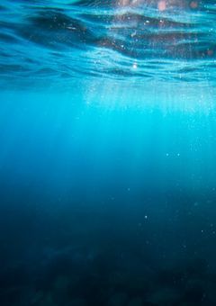 Character bio BOX 𓂃 𓈒𓏸 ໒꒱·ﾟ