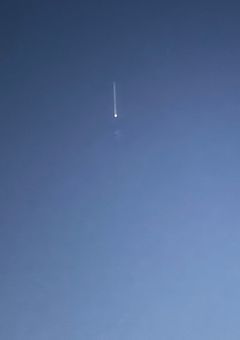 活動について