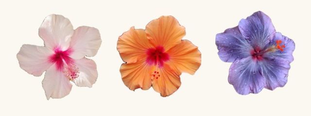 ☻さんの壁紙画像