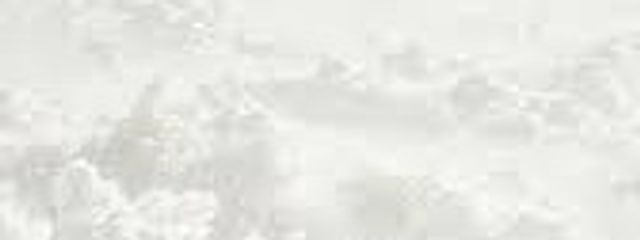 れんげ🫧フォロバ100%さんの壁紙画像