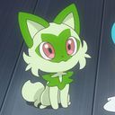 ニャオハ