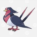 オオスバメ♂