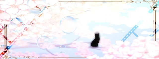 白川  雪さんの壁紙画像