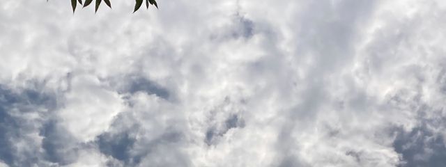みなもさんの壁紙画像