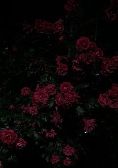 　常 川 くん が 私 の事 好き過ぎる 件 。