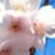 hananonamaeさんのアイコン画像