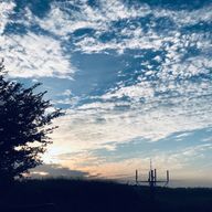 たまごボーロさんのアイコン画像