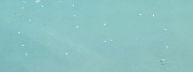 Mii#バリバリ低浮上さんの壁紙画像