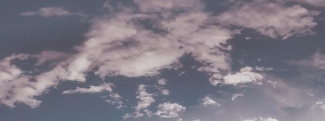 さらさんの壁紙画像