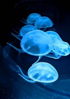 へー。私が好きなんだ~。えっ!私?!