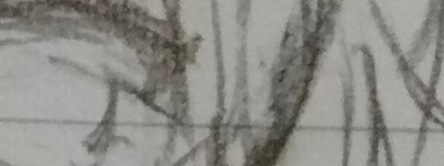 りぅゆ。(？)さんの壁紙画像