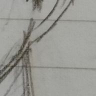 りぅゆ。(？)さんのアイコン画像