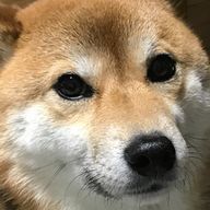たけろうさんのアイコン画像