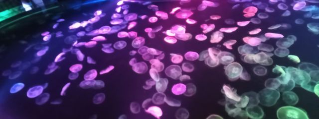 Remimi🎧🌸🌙さんの壁紙画像