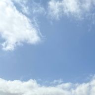 MLPさんのアイコン画像