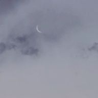 いとさんのアイコン画像