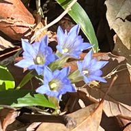 ユリカさんのアイコン画像