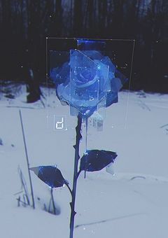 　太客が全員反社だった件　