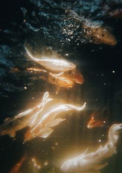 ︎ ︎ ︎ ︎ ︎ ︎熱帯夜
