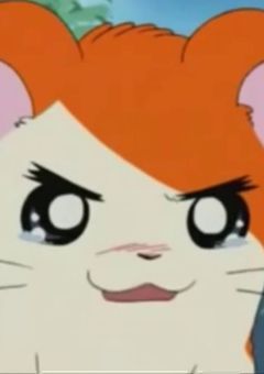 ❥ ど つ く ぞ ハ ム 太 郎 。 