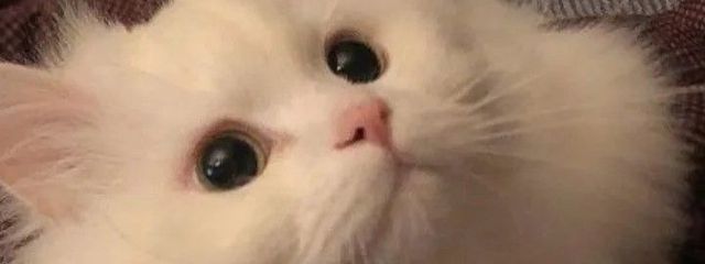 yyy_xxlさんの壁紙画像