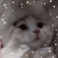 #_NCTZENさんのアイコン画像