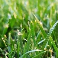 ヴィナさんのアイコン画像