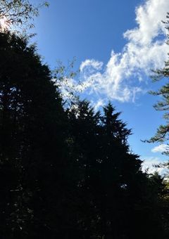 日常生活