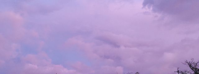 桜空さんの壁紙画像