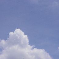 棒棒鶏さんのアイコン画像