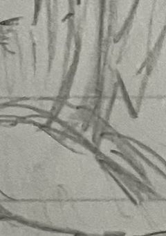 黄受けイラスト集なり