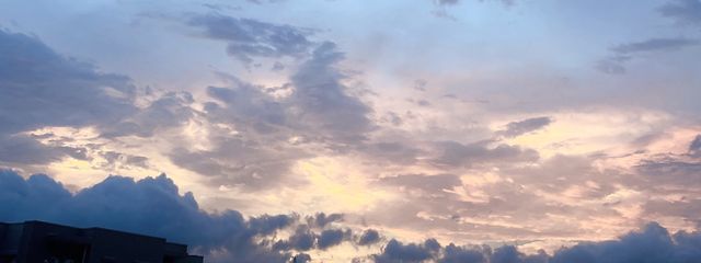 莉來さんの壁紙画像