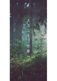 [ori参加型〆]ようこそ、世界へ
