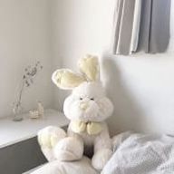  shihoさんのアイコン画像