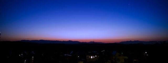 ビオラさんの壁紙画像