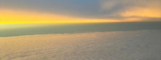 みゅーさんの壁紙画像