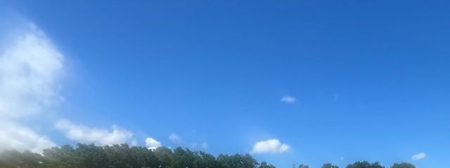 あいうえお @ 2025で活動終了さんの壁紙画像