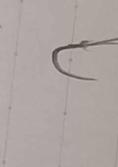 バレたら居場所がないから