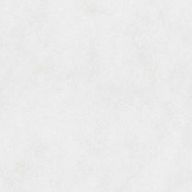 白さんのアイコン画像