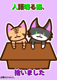 人語喋る猫、拾いました〚wrwrd〛