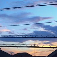 しほさんのアイコン画像