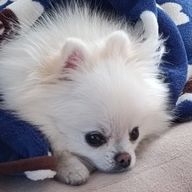 海月さんのアイコン画像