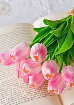 レイラちゃん専用部屋