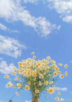 君 た ち ほ ん と に 幼 稚 園 児 で す か ？ 