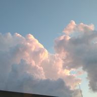 虎白さんのアイコン画像