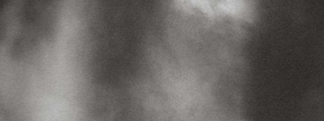 Taffyさんの壁紙画像