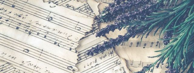 ,,   みりゅう」🐉🐺さんの壁紙画像