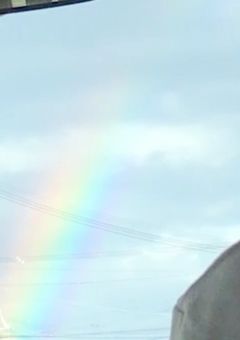 ドジ代表、今日からなにわマネやねん。