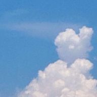 にゃむさんのアイコン画像